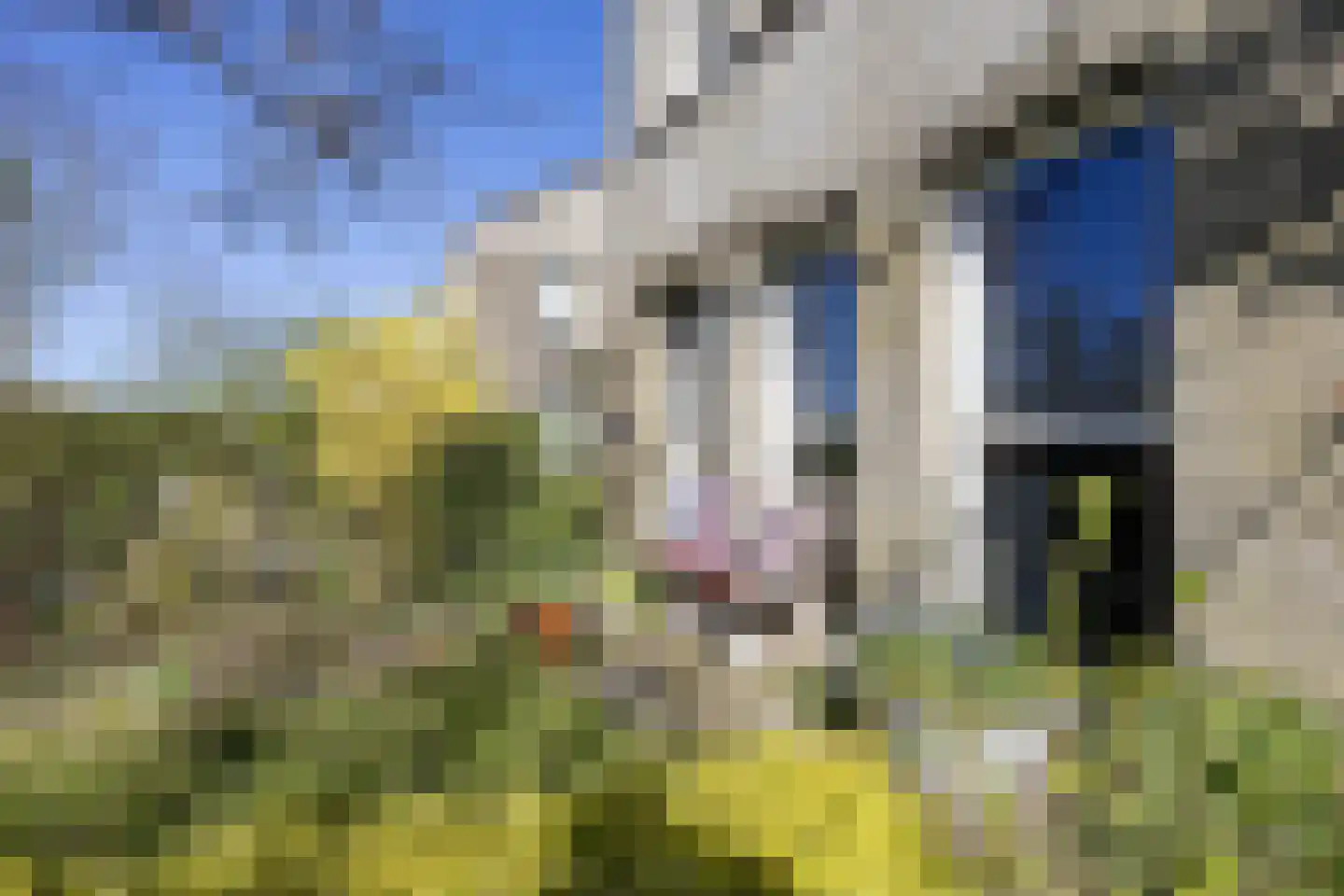 Fien de la Marlaan 21 Beverwijk thumbnail 53