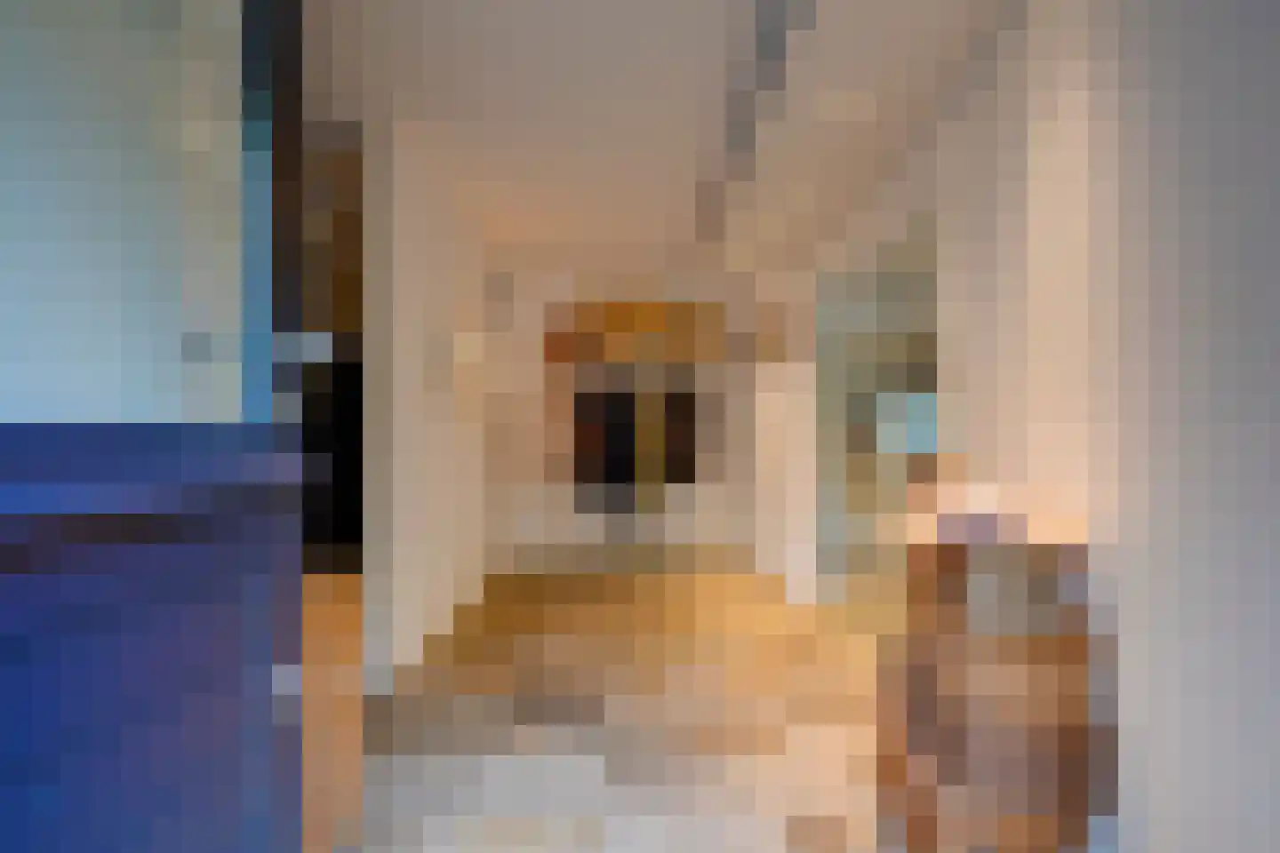 Fien de la Marlaan 5 Utrecht thumbnail 4