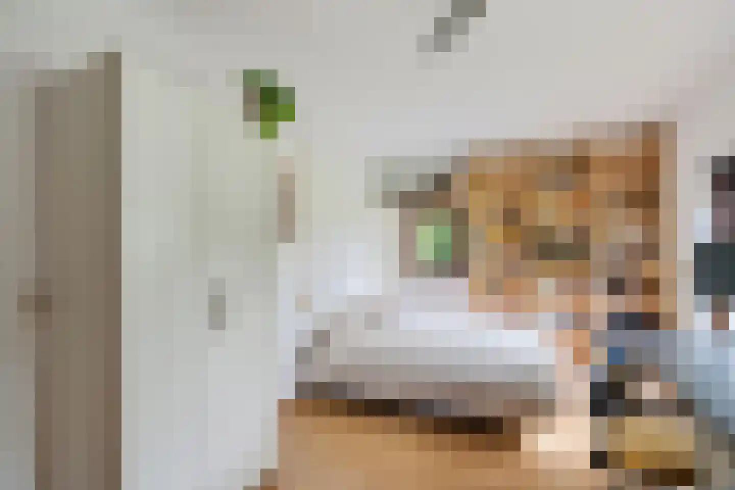 Fien de la Marlaan 98 Utrecht thumbnail 22