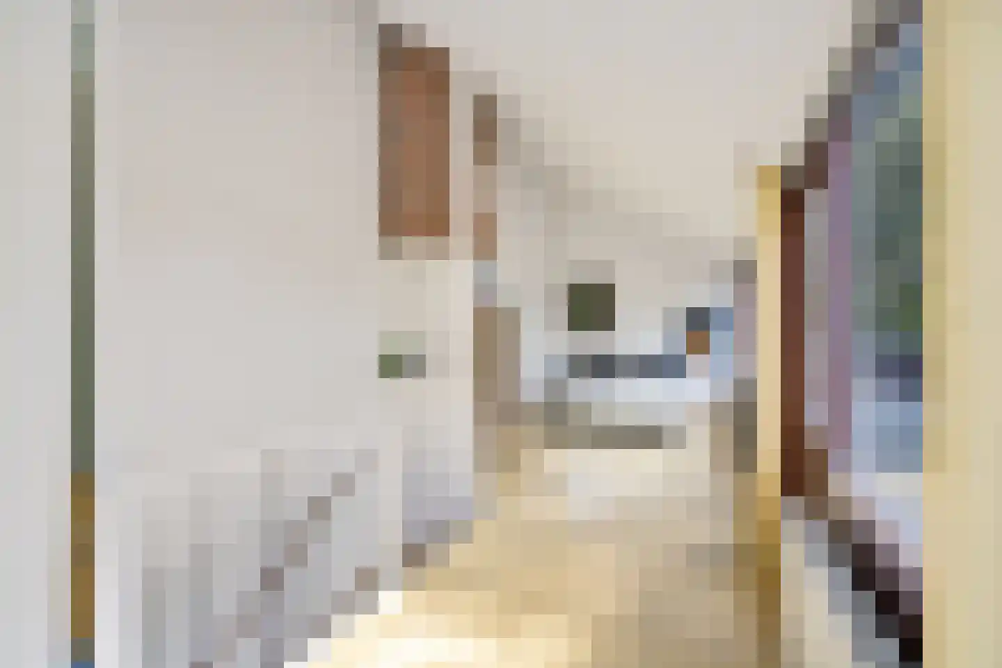 Fien de la Marlaan 98 Utrecht thumbnail 28