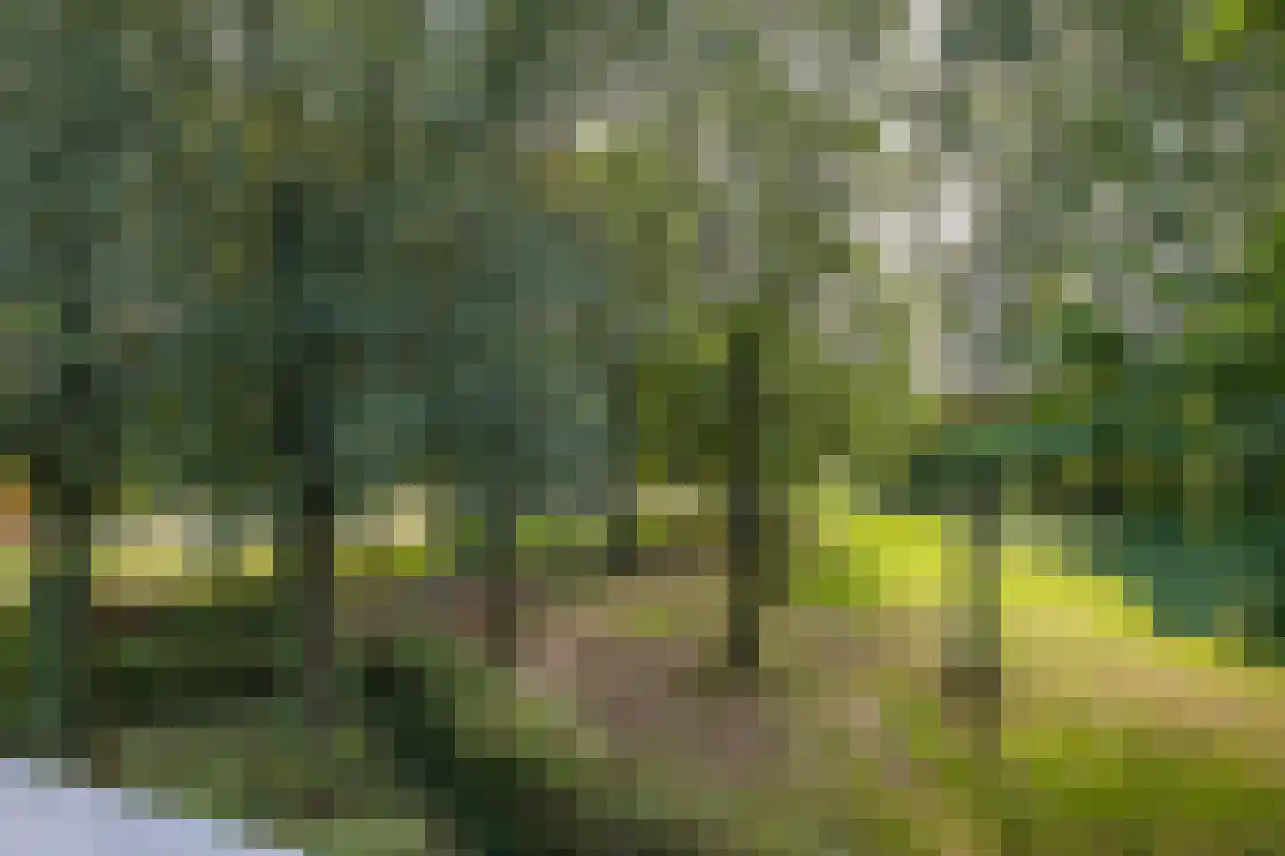Fien de la Marlaan 98 Utrecht thumbnail 37