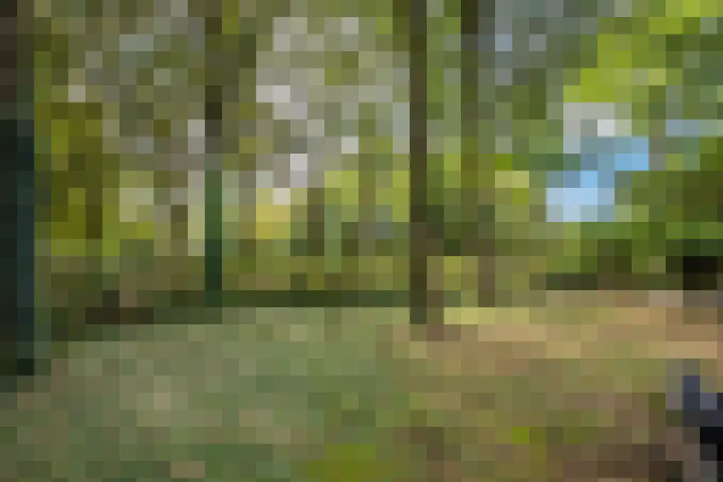 Fien de la Marlaan 98 Utrecht thumbnail 43