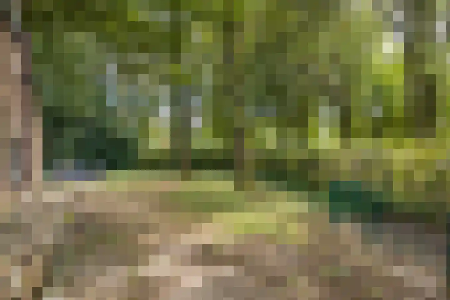 Fien de la Marlaan 98 Utrecht thumbnail 44