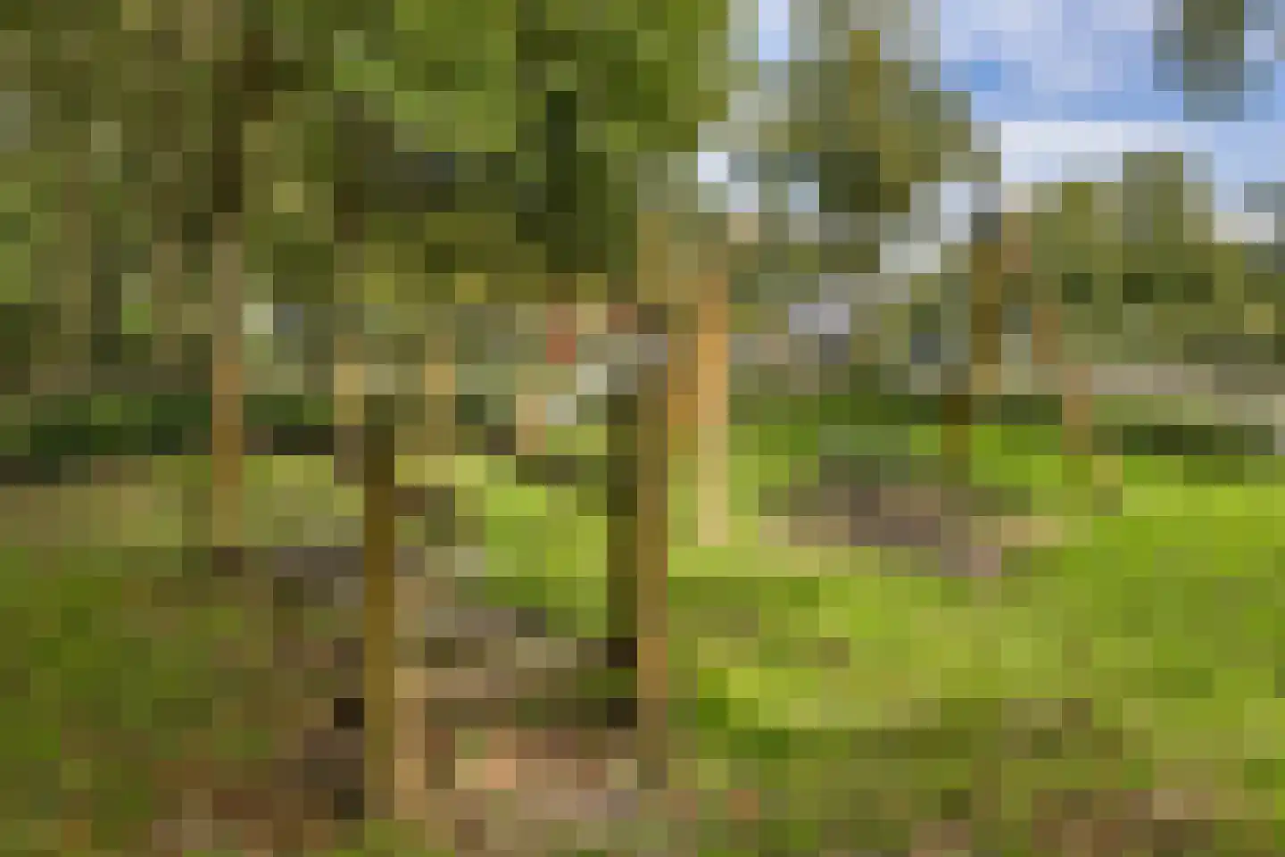 Fien de la Marlaan 98 Utrecht thumbnail 47
