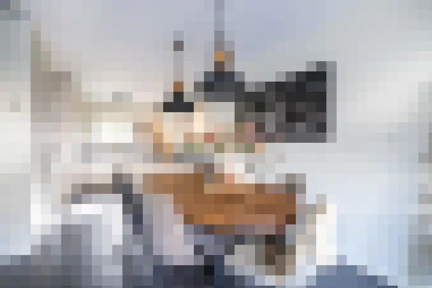 Fien de la Marpad 10 Almere thumbnail 20