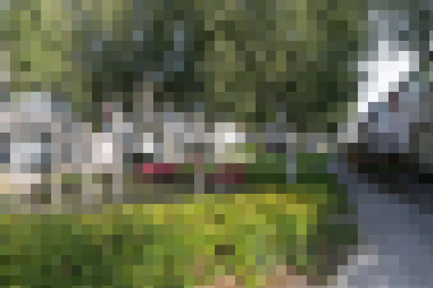 Fien de la Marpad 10 Almere thumbnail 9