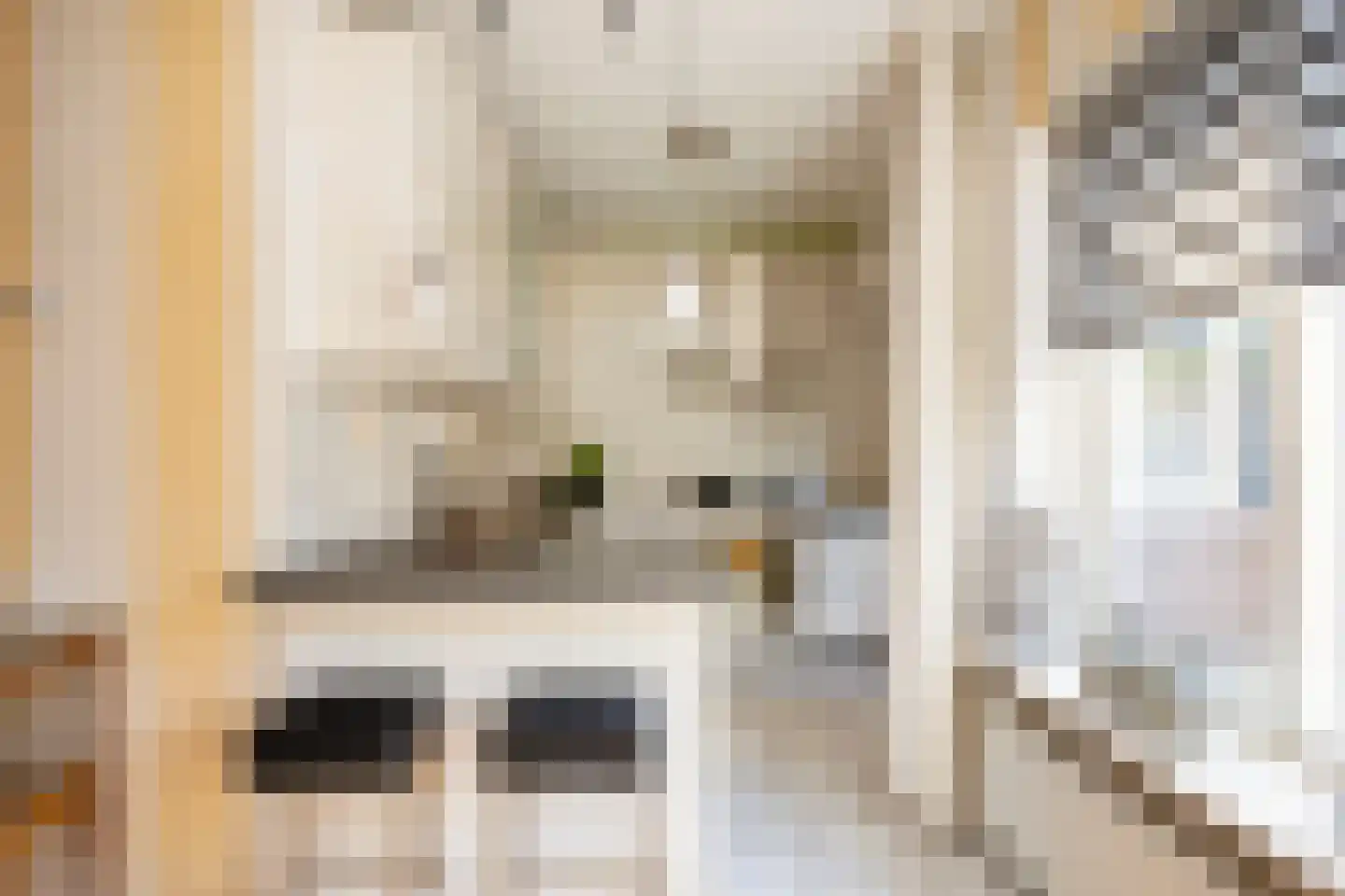 Fien de la Marstraat 10 Hengelo thumbnail 4