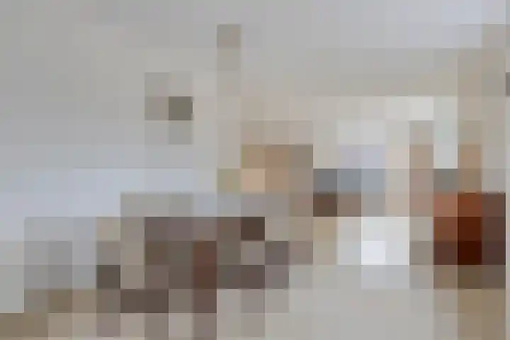 Fien de la Marstraat 25 Castricum thumbnail 17