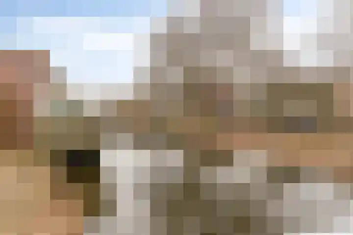 Fien de la Marstraat 25 Castricum thumbnail 33