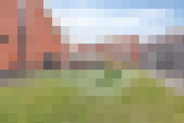 Fien de la Marstraat 25 Castricum thumbnail 36