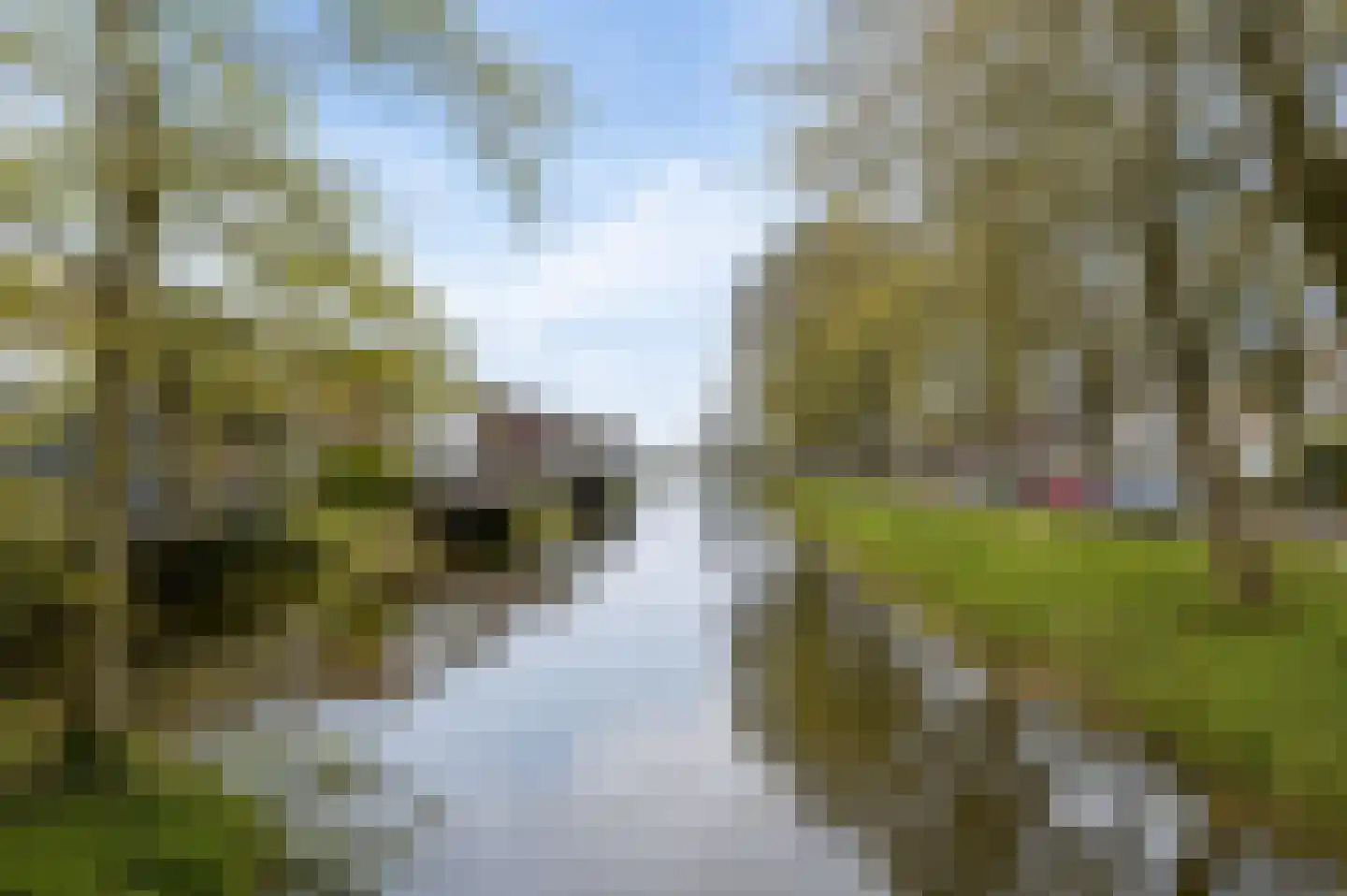 Fien de la Marstraat 25 Castricum thumbnail 37