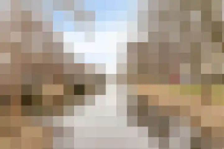 Fien de la Marstraat 25 Castricum thumbnail 37