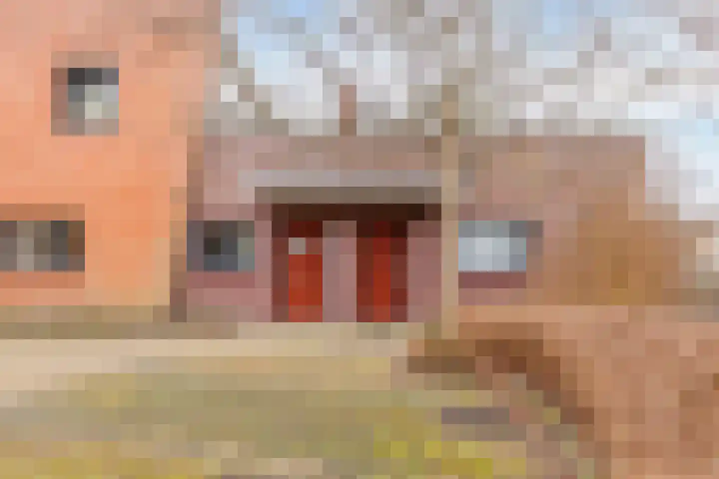 Fien de la Marstraat 25 Castricum thumbnail 7