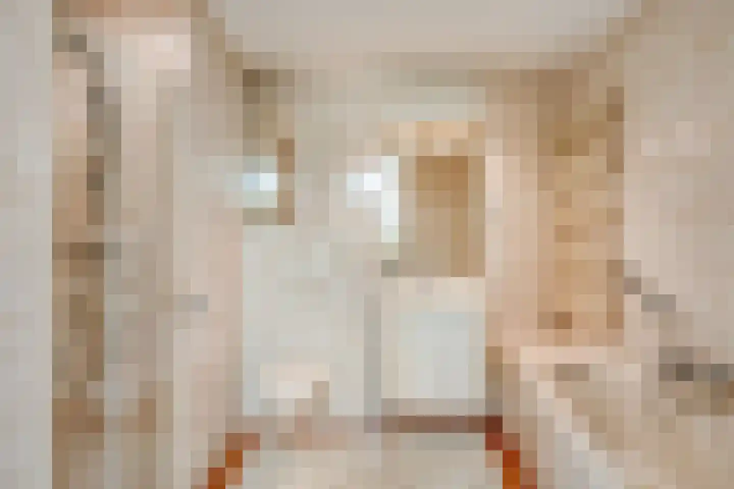Fien de la Marstraat 30 Castricum thumbnail 16