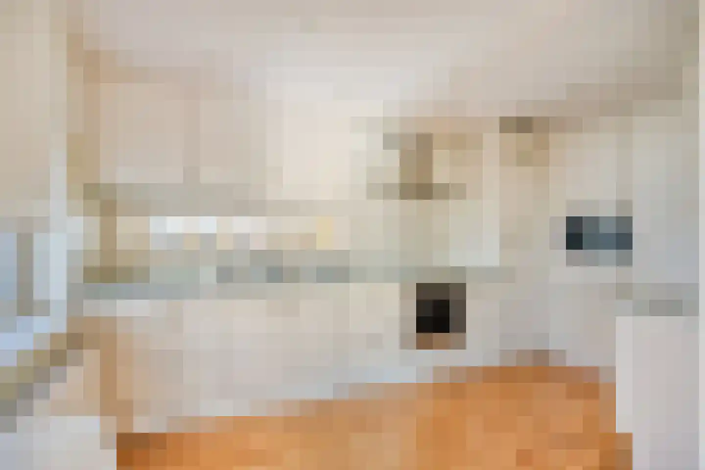 Fien de la Marstraat 30 Castricum thumbnail 5