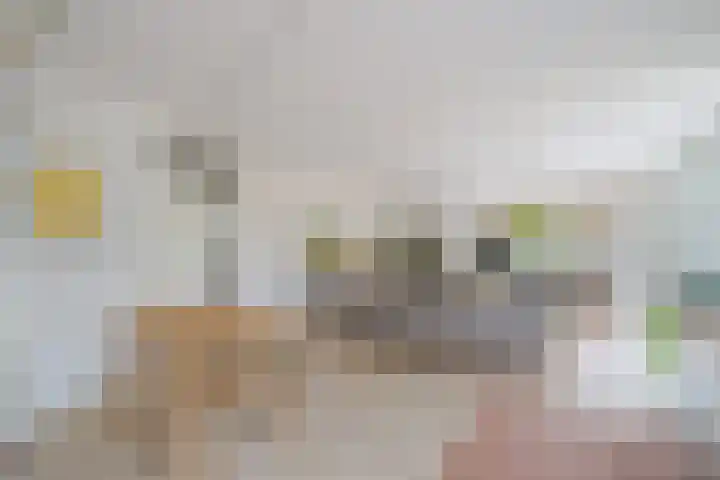 Fien de la Marstraat 35 Castricum thumbnail 13