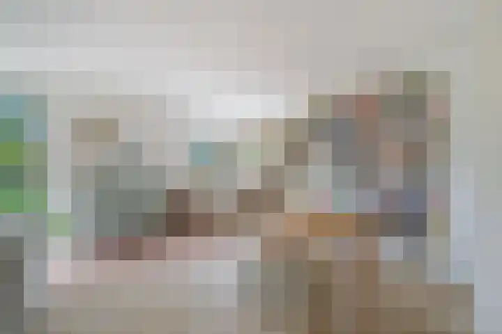 Fien de la Marstraat 35 Castricum thumbnail 14
