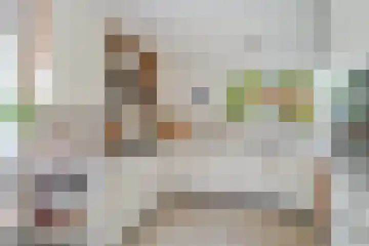 Fien de la Marstraat 35 Castricum thumbnail 16
