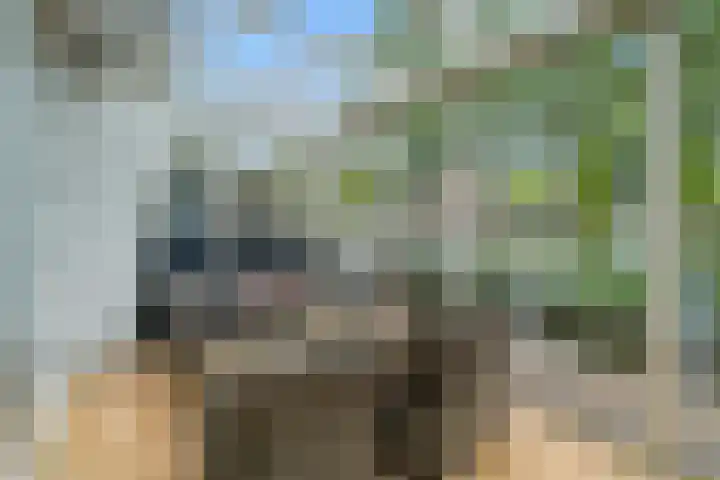 Fien de la Marstraat 35 Castricum thumbnail 17