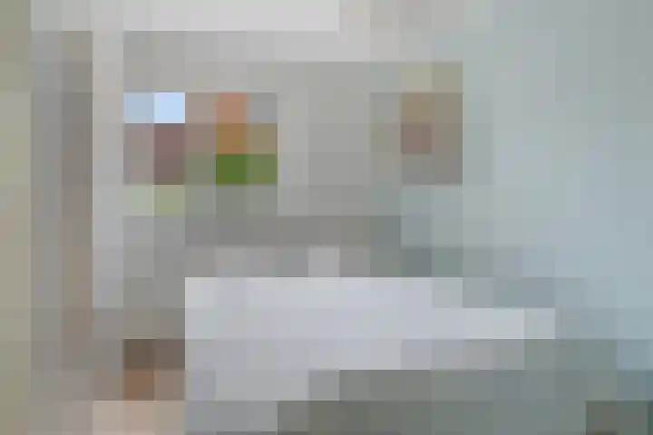 Fien de la Marstraat 35 Castricum thumbnail 22