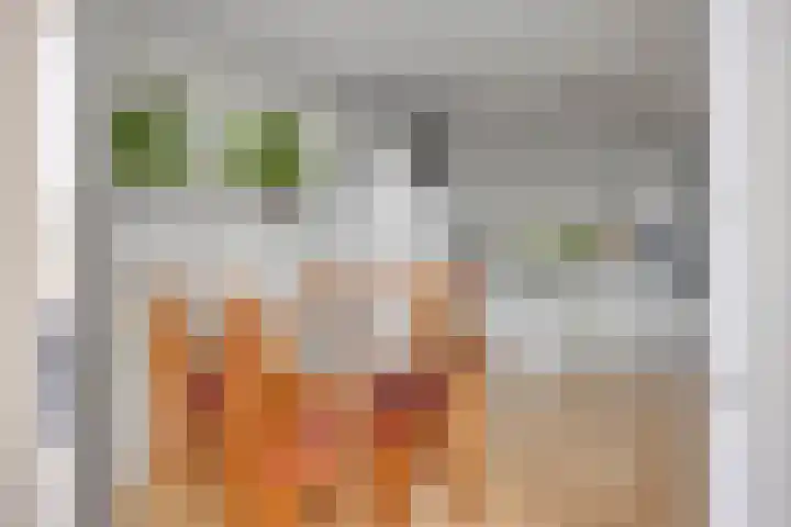 Fien de la Marstraat 44 Castricum thumbnail 10