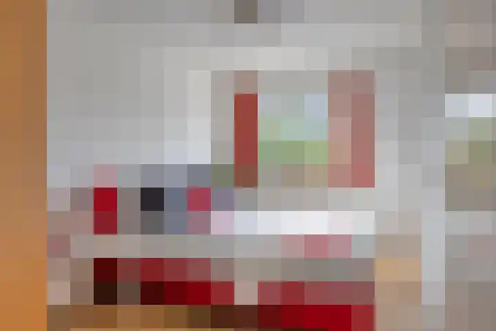 Fien de la Marstraat 44 Castricum thumbnail 20