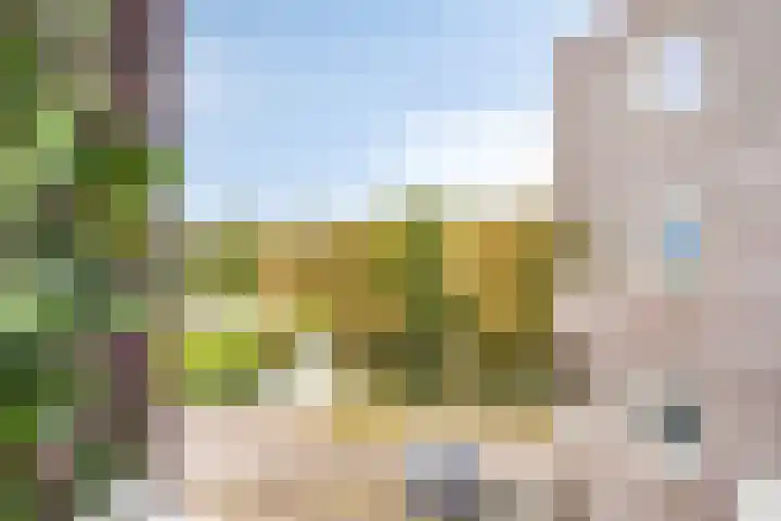 Fien de la Marstraat 44 Castricum thumbnail 25
