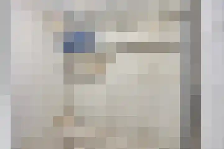 Fien de la Marstraat 44 Castricum thumbnail 33