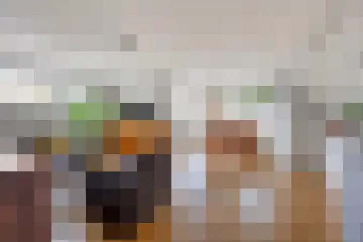 Fien de la Marstraat 44 Castricum thumbnail 6