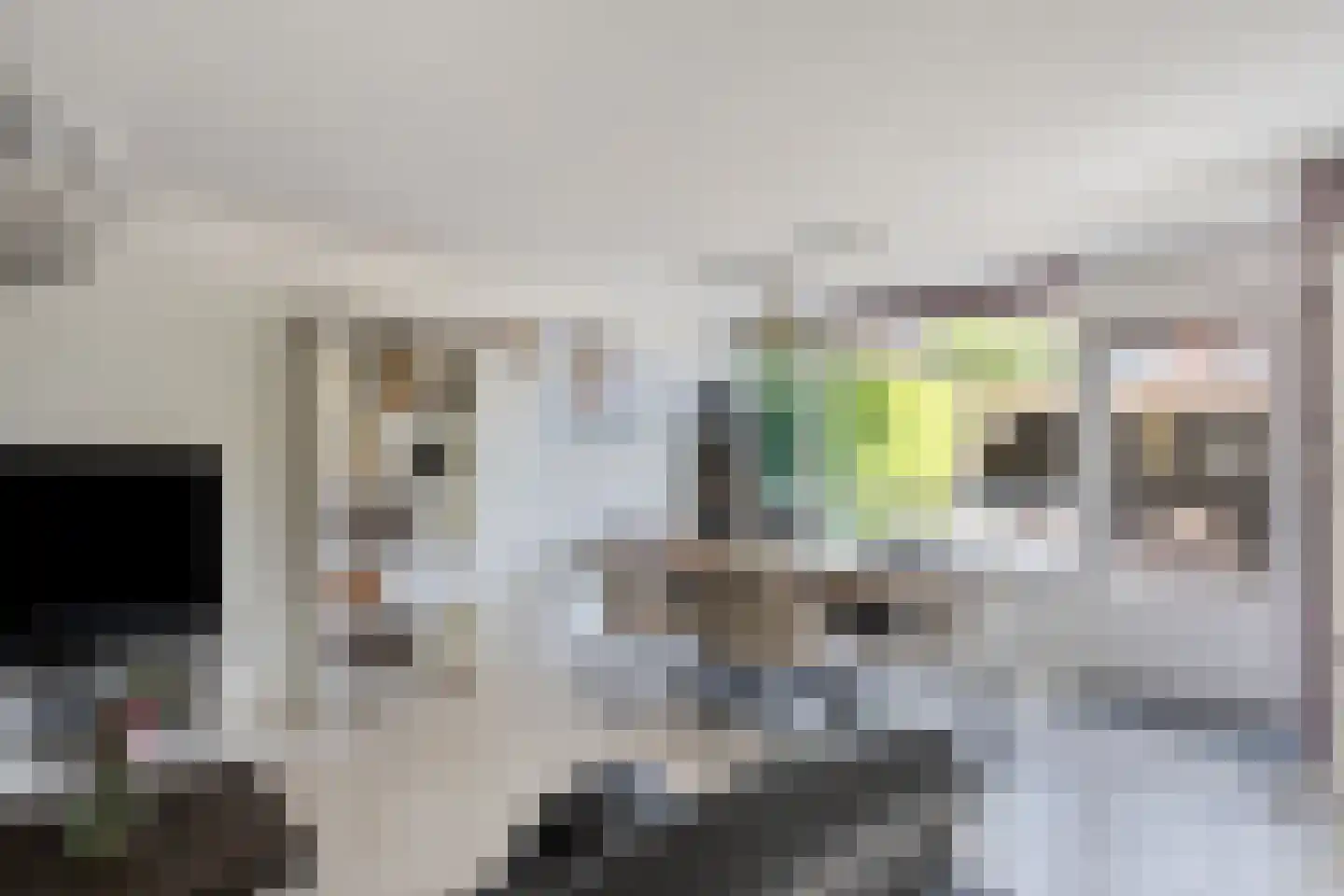 Fien de la Marstraat 52 Castricum thumbnail 11