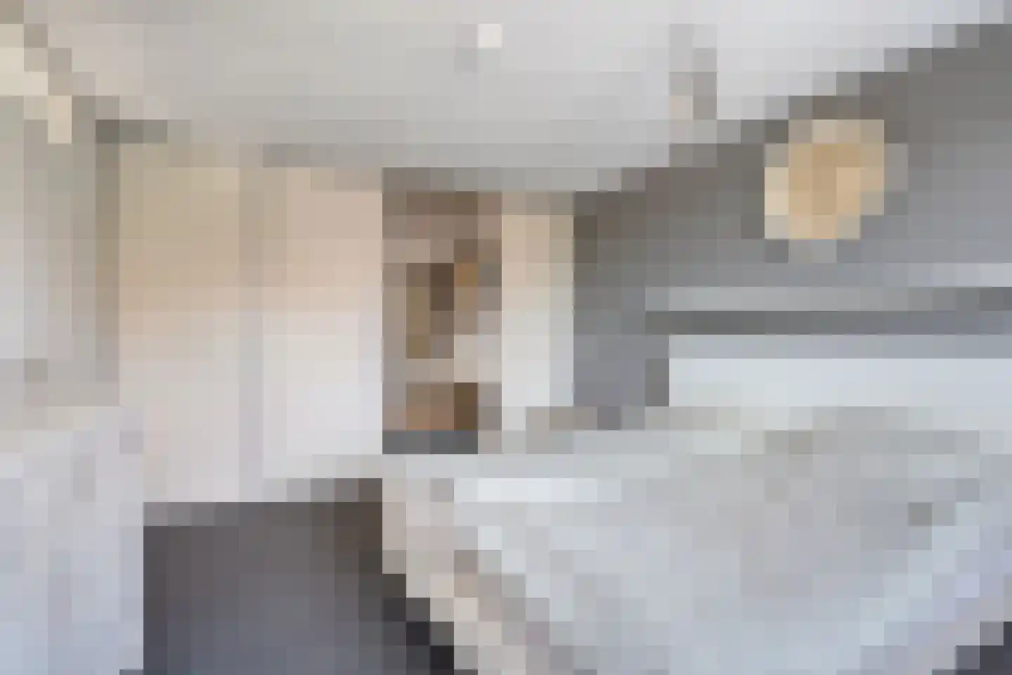 Fien de la Marstraat 52 Castricum thumbnail 21