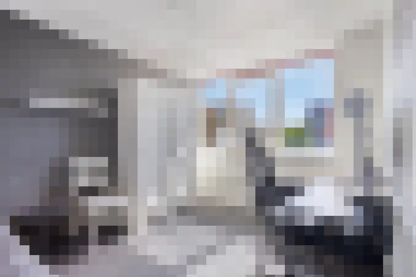 Fien de la Marstraat 52 Castricum thumbnail 24