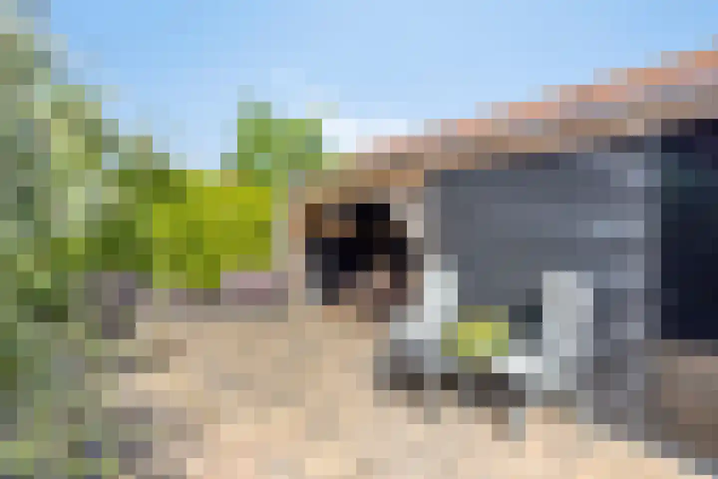 Fien de la Marstraat 52 Castricum thumbnail 41