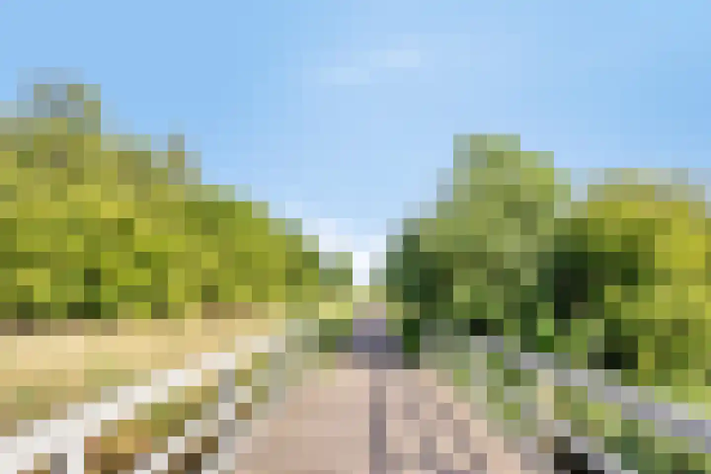 Fien de la Marstraat 52 Castricum thumbnail 48