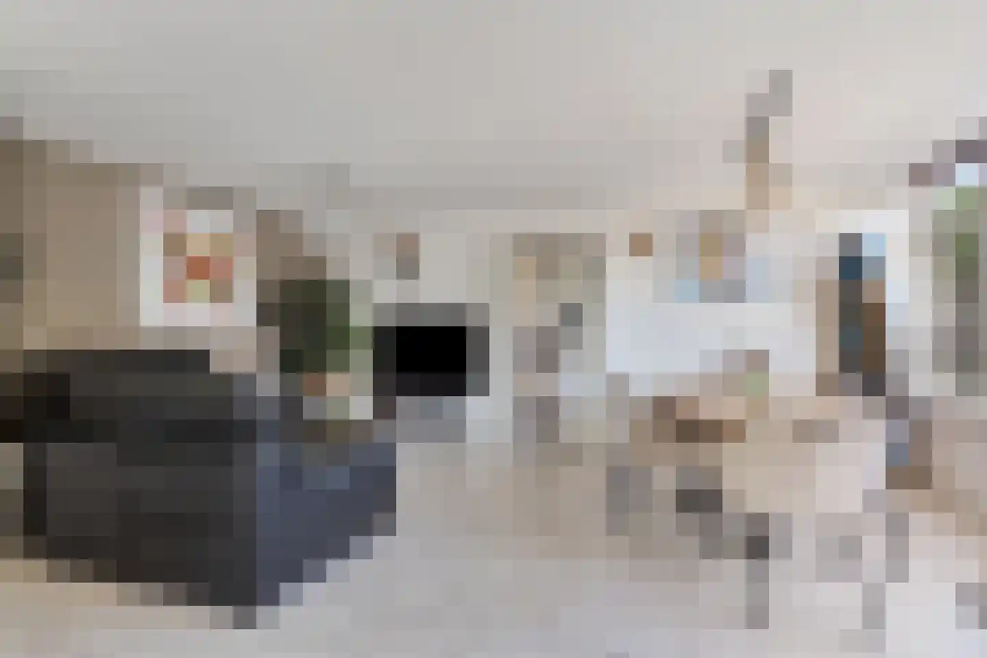 Fien de la Marstraat 52 Castricum thumbnail 8