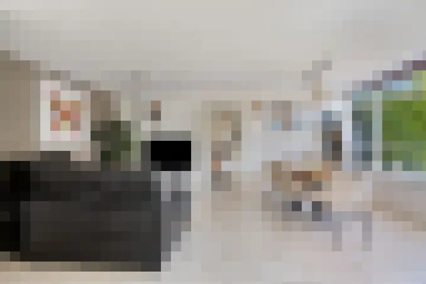 Fien de la Marstraat 52 Castricum thumbnail 9