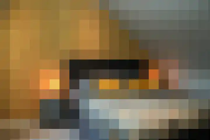 Fiep Westendorplaan 107 Zaltbommel thumbnail 30
