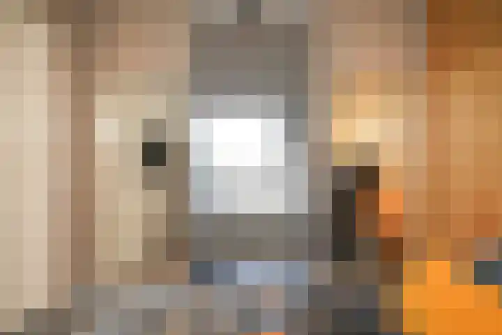 Fiep Westendorplaan 107 Zaltbommel thumbnail 32