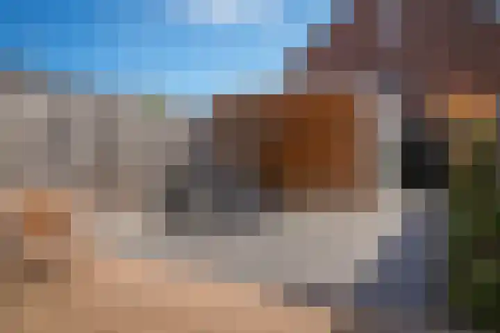 Fiep Westendorplaan 107 Zaltbommel thumbnail 36