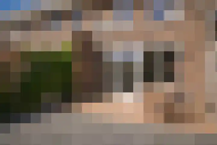 Fiep Westendorplaan 107 Zaltbommel thumbnail 38