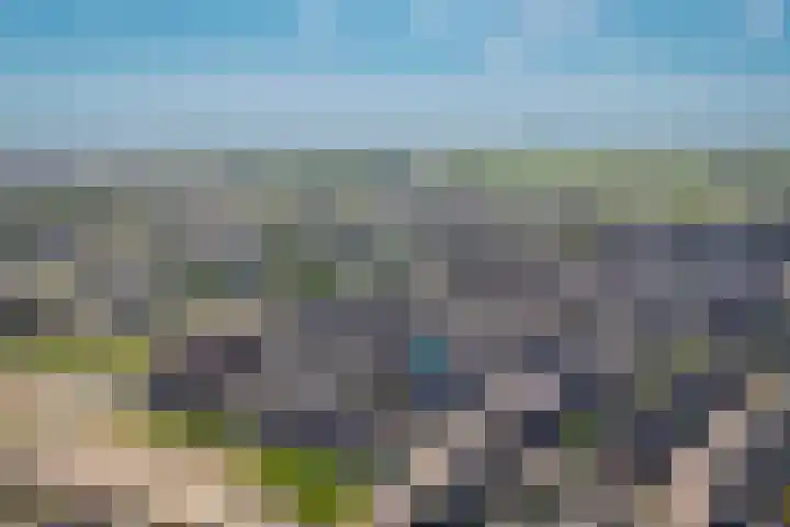 Fiep Westendorplaan 107 Zaltbommel thumbnail 39