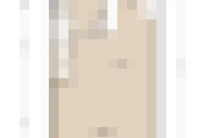 Fiep Westendorplaan 107 Zaltbommel thumbnail 42