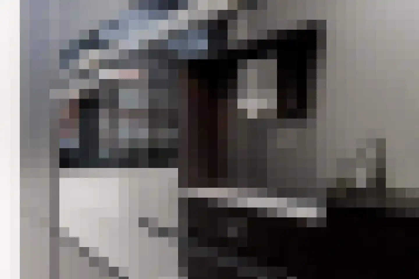Fiep Westendorplaan 123 Zaltbommel thumbnail 16
