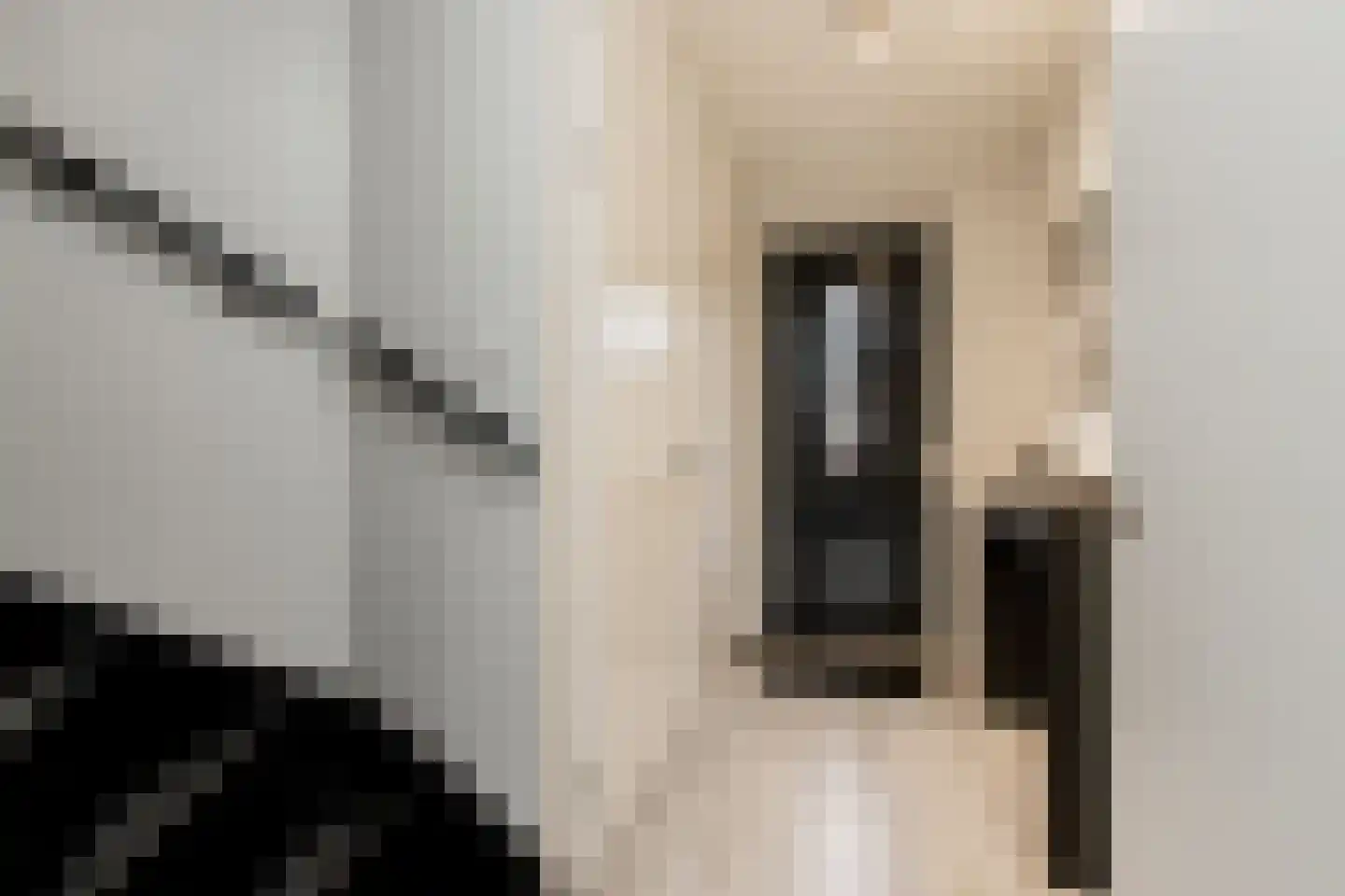Fiep Westendorplaan 123 Zaltbommel thumbnail 23