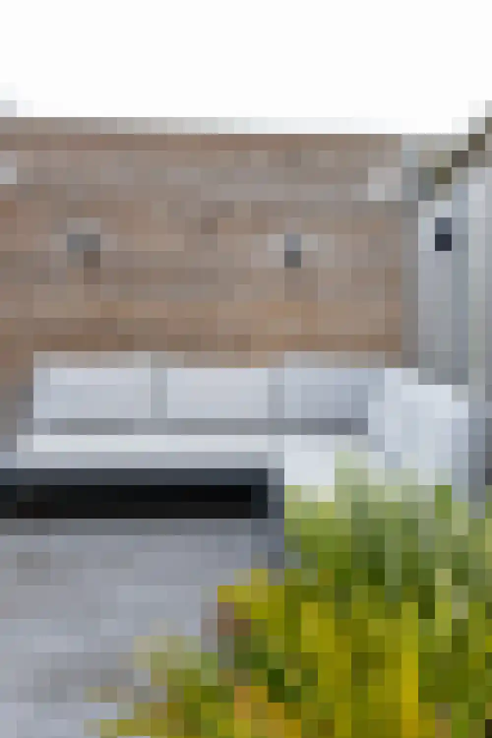 Fiep Westendorplaan 123 Zaltbommel thumbnail 42