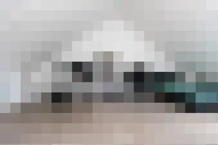 Fiep Westendorplaan 171 Zaltbommel thumbnail 39