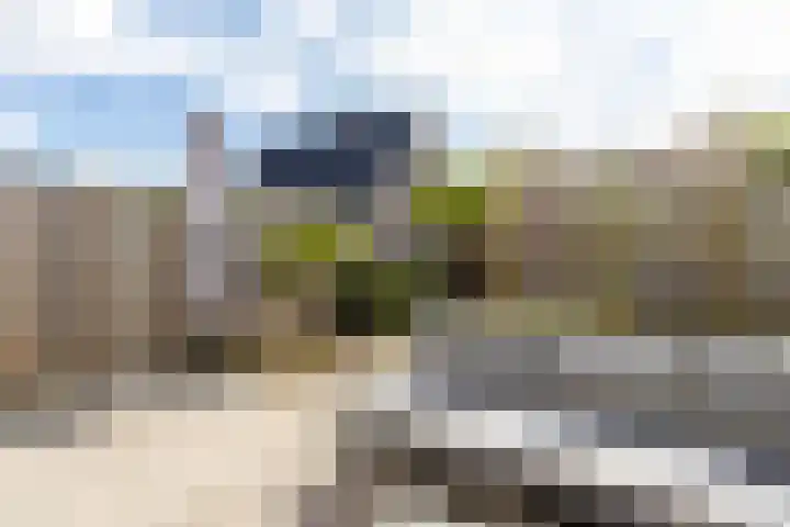 Fiep Westendorplaan 171 Zaltbommel thumbnail 42