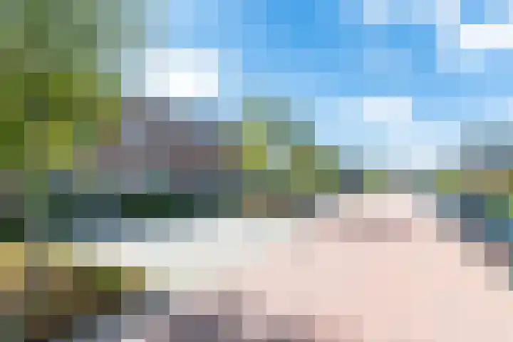 Fiep Westendorplaan 171 Zaltbommel thumbnail 55