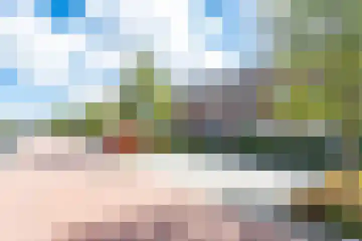 Fiep Westendorplaan 171 Zaltbommel thumbnail 56