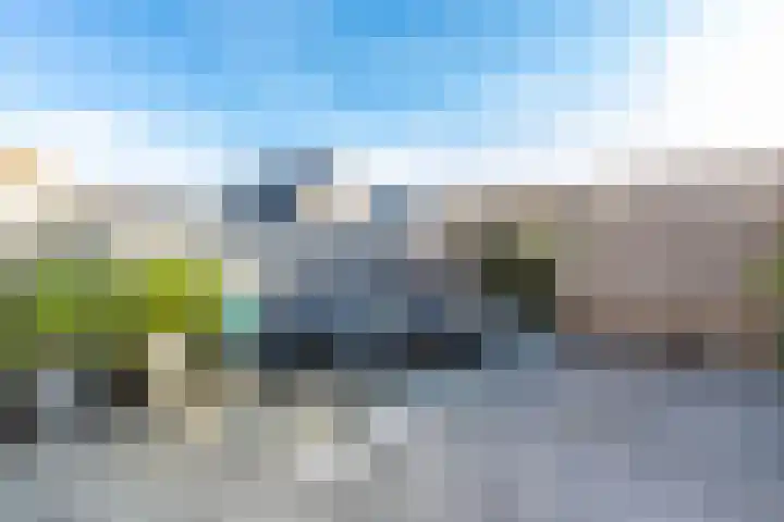 Fiep Westendorplaan 175 Zaltbommel thumbnail 40